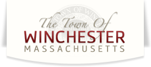 Banner logo with link to homepage